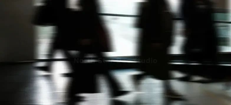 Cinematography Lead